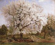 Carl Fredrik Hill apple tree in blossom oil